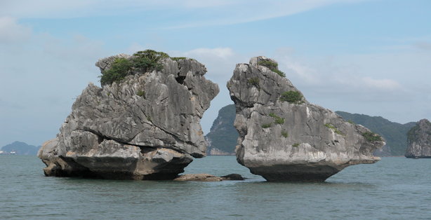 Halong Bay Daily Group Tours